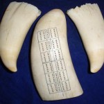 p6260033s1